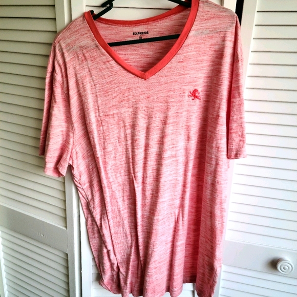 Express Other - Men's t-shrit express vneck